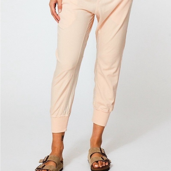 Young Fabulous and Broke Odin Joggers in Guava 45303 - Picture 2 of 13